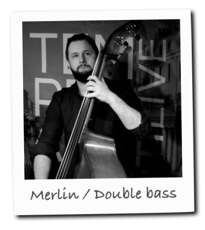 Merlin / Double bass